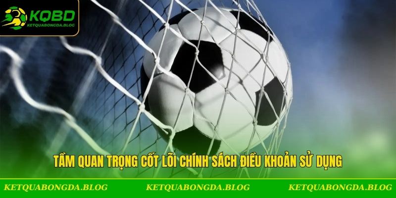 Tầm quan trọng cốt lõi chính sách điều khoản sử dụng